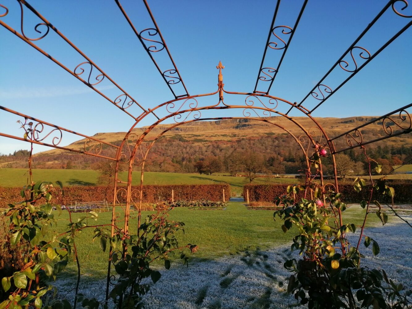 farm venue